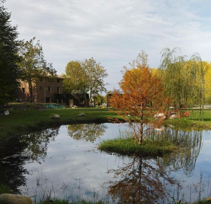 RETIRO DE BIODANZA EN LA NATURALEZA. Otoño 2023